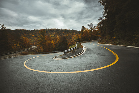 curved asphalt road surrounded by trees under grey clouds thumbnail