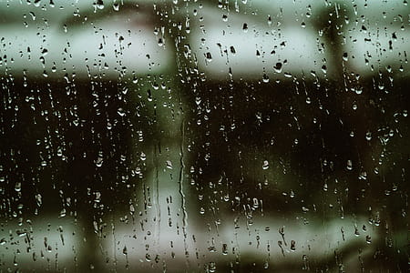 Rainy Window Pane Photo thumbnail