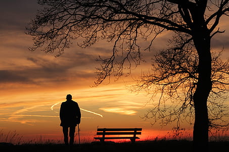 silhouette of person with cane near bench thumbnail