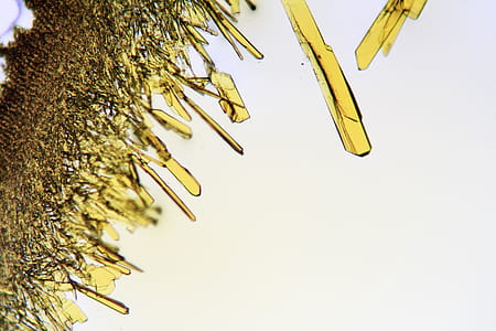 Crystals forming in solution viewed through the microscope thumbnail