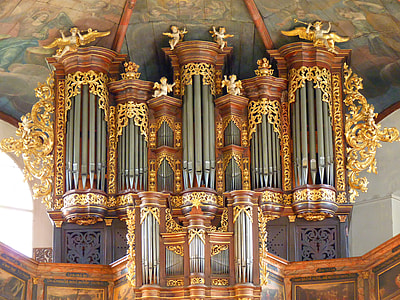 brown and gray cathedral interior thumbnail
