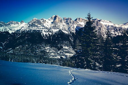 snow-covered mountains and forest during daytime thumbnail
