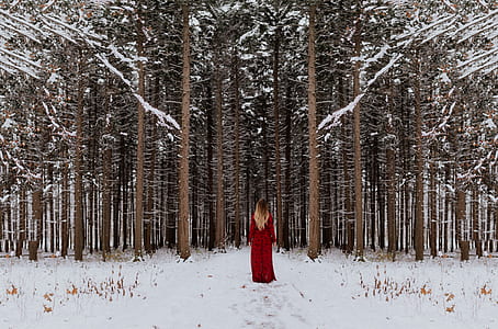photo of woman wearing red dress walking towards forest thumbnail