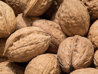 lots of unopened brown walnuts thumbnail