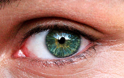 closeup photo of left human eye thumbnail