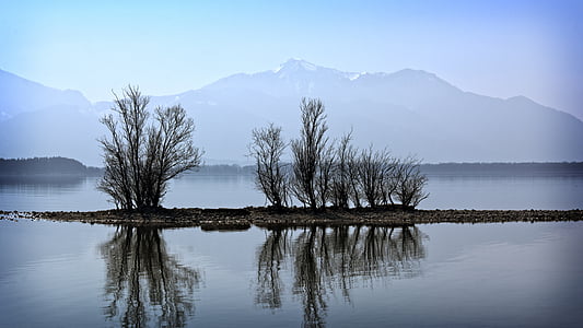 plants on islet near body of water thumbnail