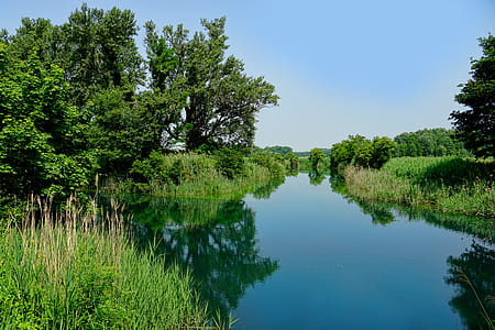 body of water near trees thumbnail