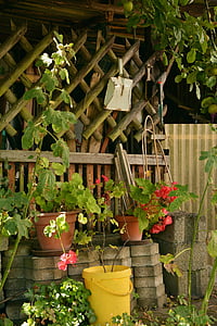 assorted clay pots with plants thumbnail