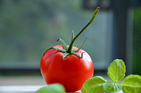 shallow focus photography of tomato fruit thumbnail