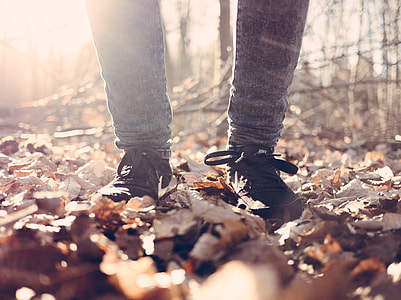 person standing on ground full of dried leaves photo during daytime thumbnail