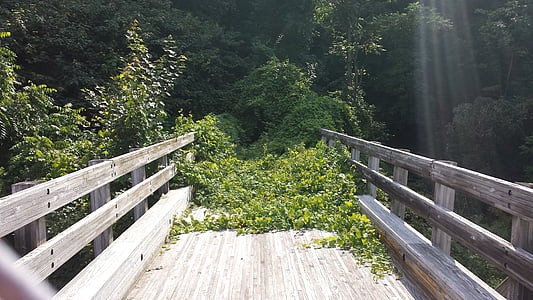 brown wooden bridge thumbnail