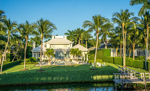 white house surrounded by trees thumbnail