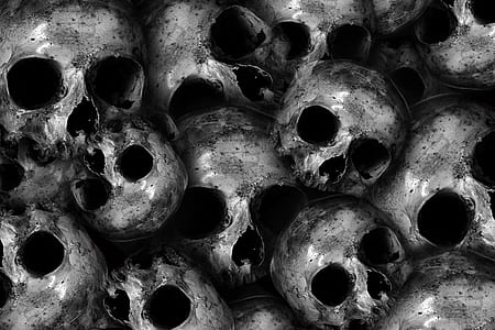 skull illustration thumbnail
