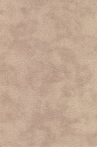gray carpet thumbnail