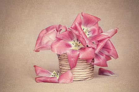 pink petaled flowers in brown rope can thumbnail