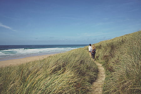 two person walker near sea shore thumbnail