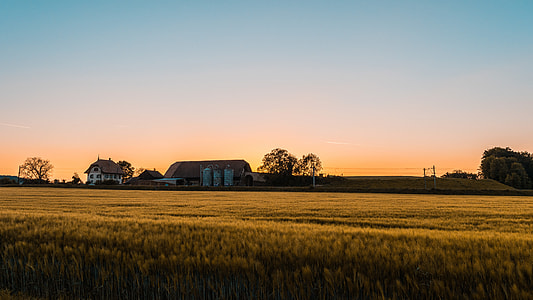silhouette of houses and barns under clear skies during sunset shot from brown wheat field thumbnail