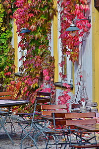 two dining sets near red leaf vines at daytime thumbnail