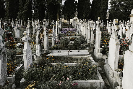 landscape photography of cemetery thumbnail