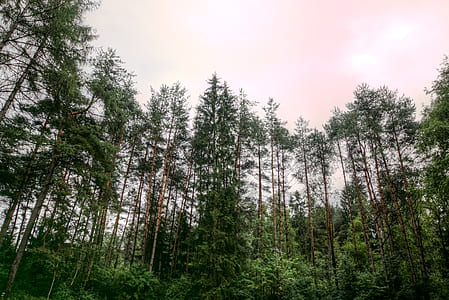 landscape, nature, sky, clouds thumbnail