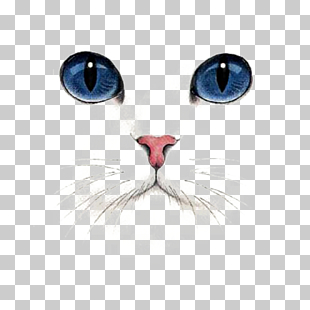 British Shorthair Kitten Dog Tabby cat, Hand Painted Cat, blue-eyed cat illustration PNG clipart