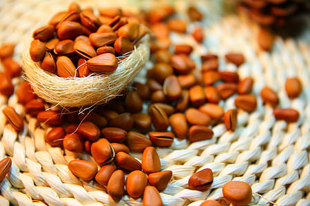 bunch of brown nuts thumbnail