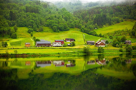 mirror reflection of village on mountain slope near thick forest thumbnail