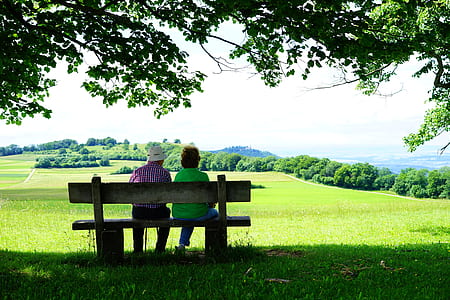 man and woman sitting on bench under tree on outdoors thumbnail
