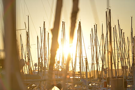 boats, port, sun, harbor thumbnail