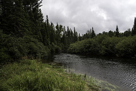 Winding River scenery in Algonquin provincial Park, Ontario thumbnail