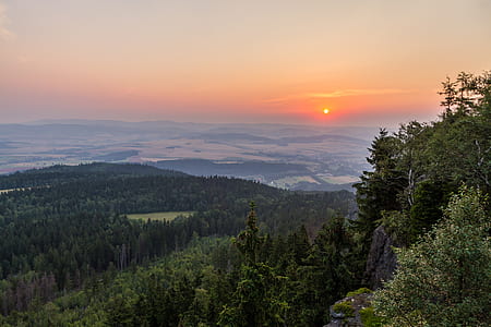 landscape photo of forest under gray sky at sunset thumbnail