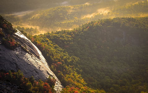 forest and mountain thumbnail