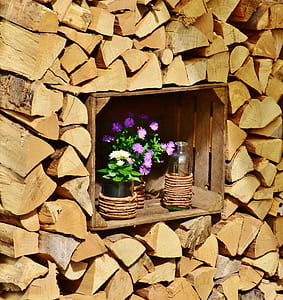 purple-and-white chrysanthemum flowers placed in crate between firewood cord thumbnail