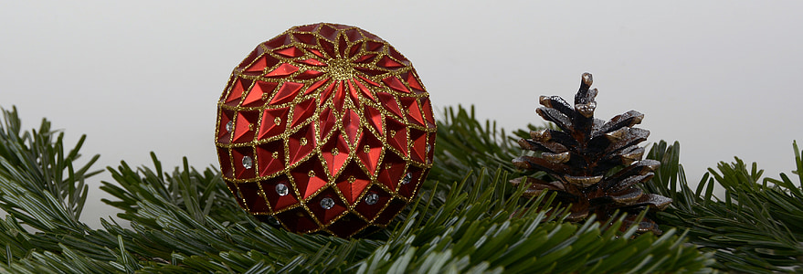 brown pine cone thumbnail