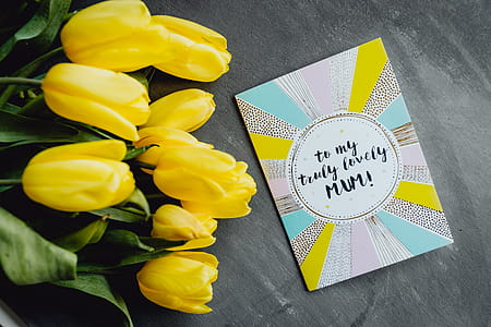 Mother`s Day card with colorful tulip flowers thumbnail