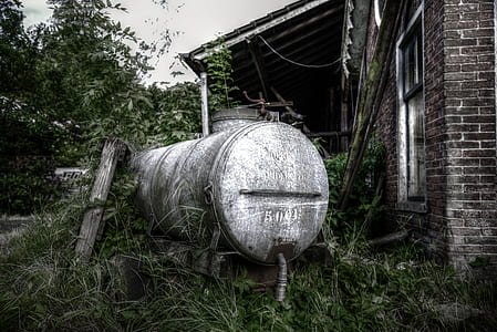 wood, building, trees, countryside thumbnail