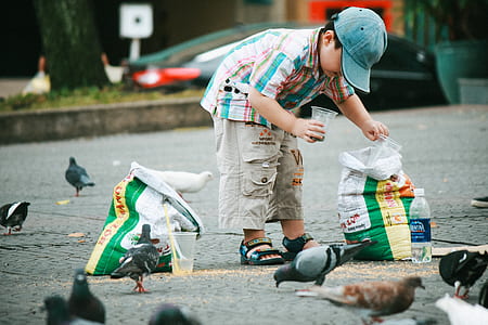 boy about to scoop on product sack using disposable cups near pigeons thumbnail