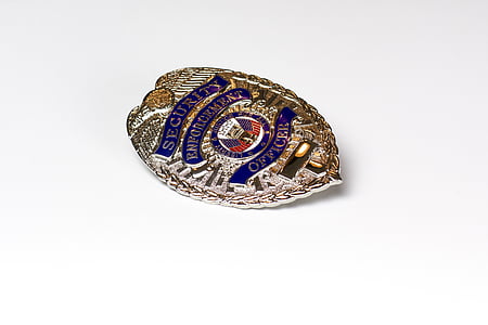 silver and blue security badge thumbnail