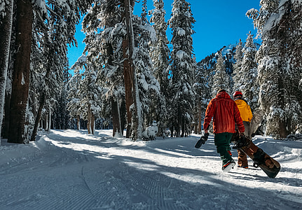 two person walking on snow covered ground between trees during daytime thumbnail