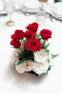 Red and White Rose Flowers in Vase on White Surface thumbnail