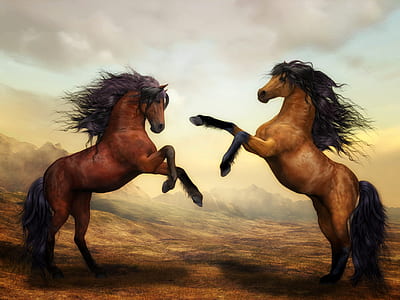 two brown horses thumbnail