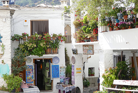 white concrete building with flowers and plants on it thumbnail