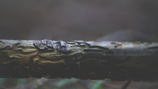 black-colored wooden object thumbnail