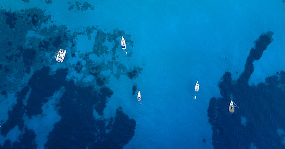 five white boats on body of water thumbnail