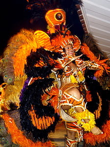 woman in orange and black butterfly costume while dancing thumbnail