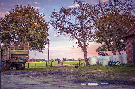 road, trees, countryside, vehicle thumbnail