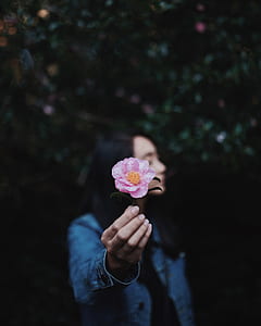 person holding pink flower thumbnail