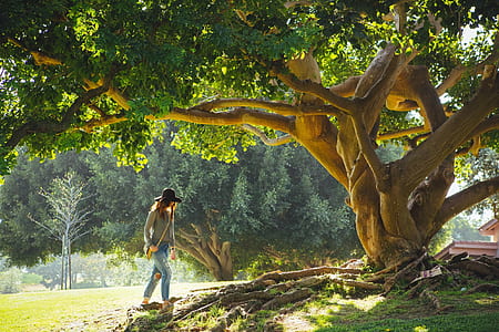 woman walking toward brown tree thumbnail
