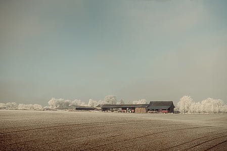 brown wooden house in middle of field thumbnail