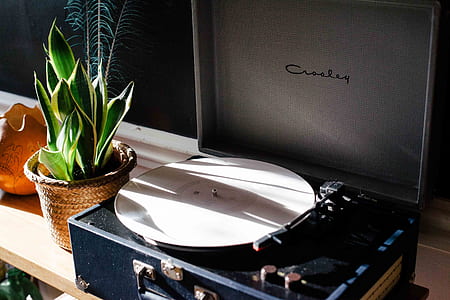 black Crosley vinyl record player beside snake plant thumbnail